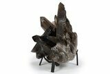 Dark Smoky Quartz Crystal Cluster on Metal Stand - Brazil #300620-2